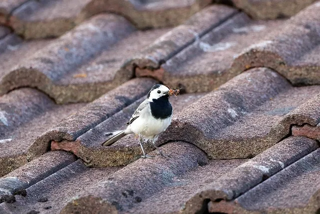 Tegelzetten woonkamer 3 3